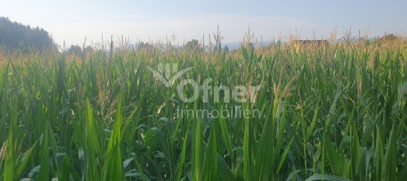  Land in Barnbach, Austria No. 132241 3