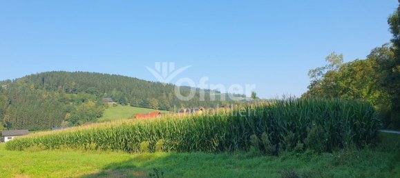  Land in Barnbach, Austria No. 132241 5