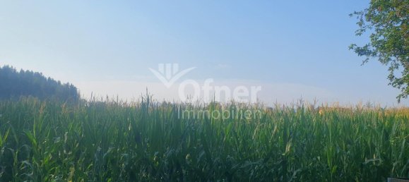  Land in Barnbach, Austria No. 132241 2