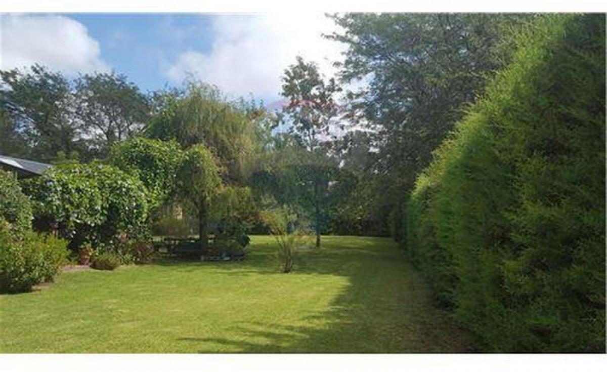 Terreno em Campo Creado, Argentina N.º 48224