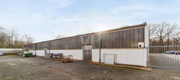 1239m² Commercial property in Steinfurt, Germany No. 135633 5