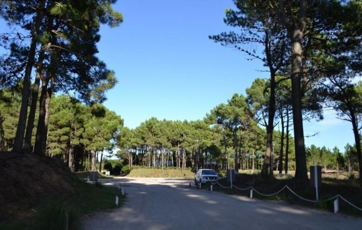  قطعة أرض في Mar del Plata, Argentina رقم 118526