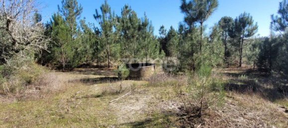 Grundstück in Coruche, Portugal 4000m², Nr. 84173 11