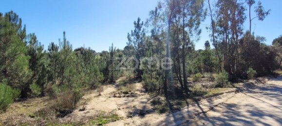 Grundstück in Coruche, Portugal 4000m², Nr. 84173 9