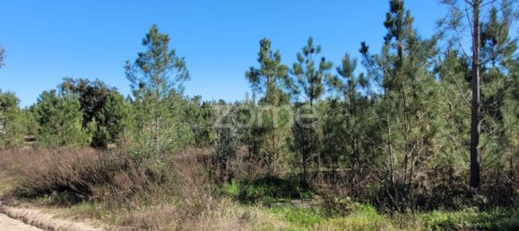 Grundstück in Coruche, Portugal 4000m², Nr. 84173 14