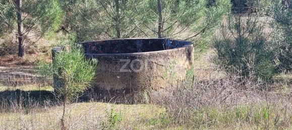 Grundstück in Coruche, Portugal 4000m², Nr. 84173 12