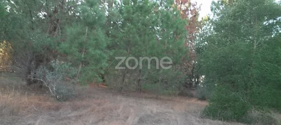 Grundstück in Coruche, Portugal 4000m², Nr. 84173 19