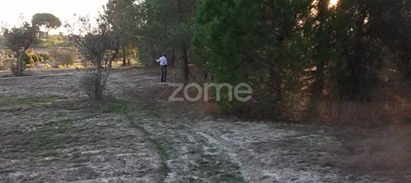 Grundstück in Coruche, Portugal 4000m², Nr. 84173 18