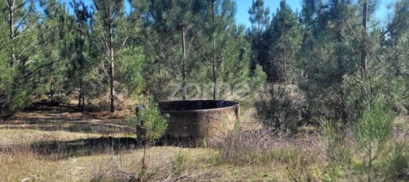 Grundstück in Coruche, Portugal 4000m², Nr. 84173 15