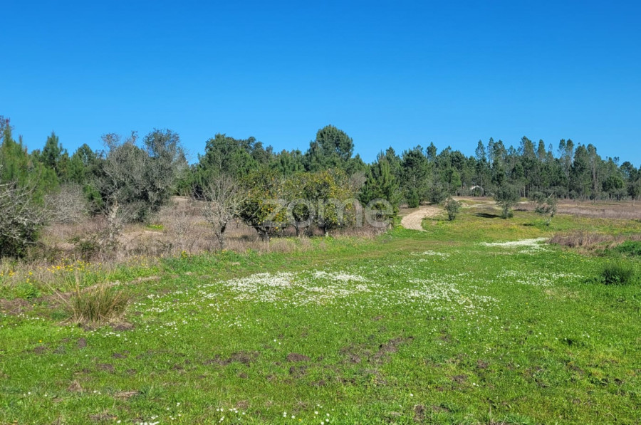 Grundstück in Coruche, Portugal 4000m², Nr. 84173