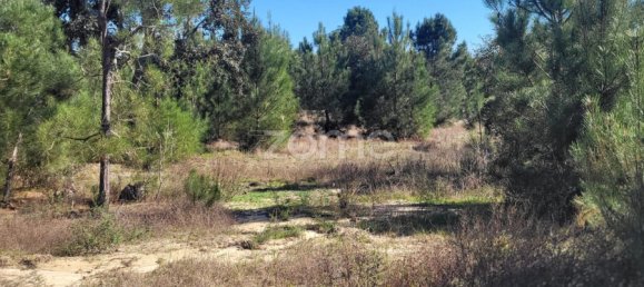 Grundstück in Coruche, Portugal 4000m², Nr. 84173 13