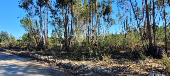 Grundstück in Coruche, Portugal 4000m², Nr. 84173 7