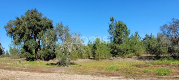 Grundstück in Coruche, Portugal 4000m², Nr. 84173 17