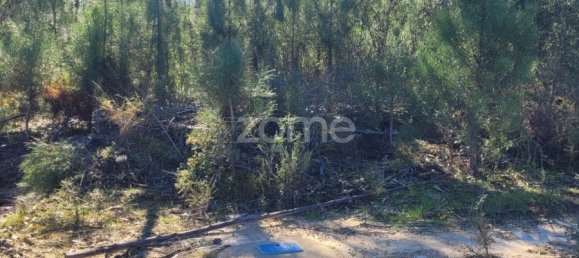 Grundstück in Coruche, Portugal 4000m², Nr. 84173 6