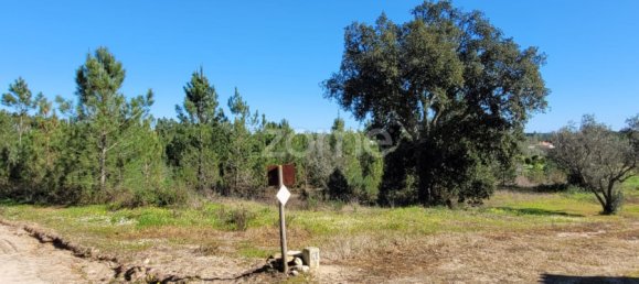 Grundstück in Coruche, Portugal 4000m², Nr. 84173 16