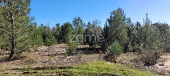 Grundstück in Coruche, Portugal 4000m², Nr. 84173 10