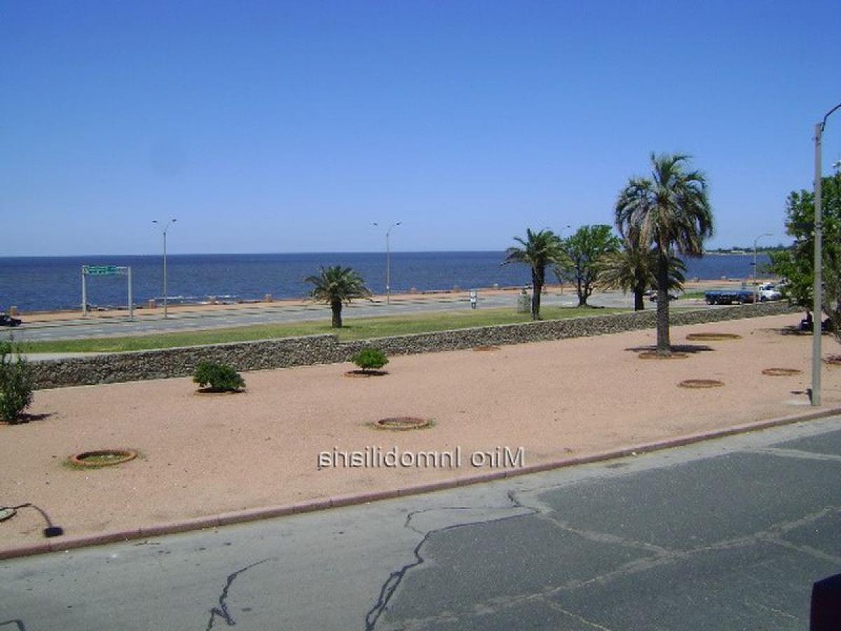 2 Schlafzimmer Wohnung in Montevideo, Uruguay, Nr. 7099