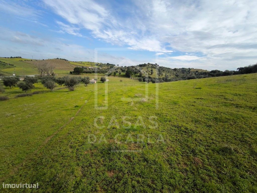 6000m² Land in Vila Ruiva, Portugal No. 297141