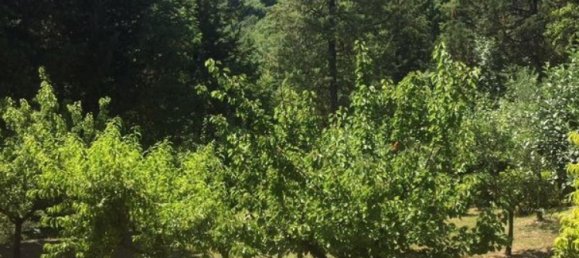 3 bedrooms House in Fermignano, Italy No. 675 9