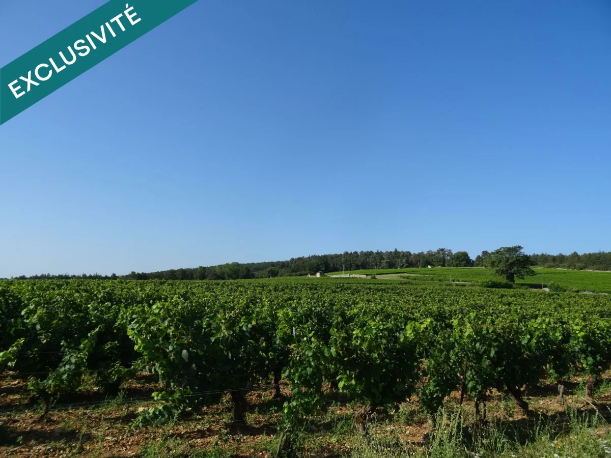 2800m² Land in Chagny, France No. 111653