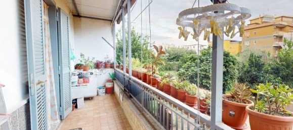 2 rooms Apartment in Pomigliano d'Arco, Italy No. 22524 12