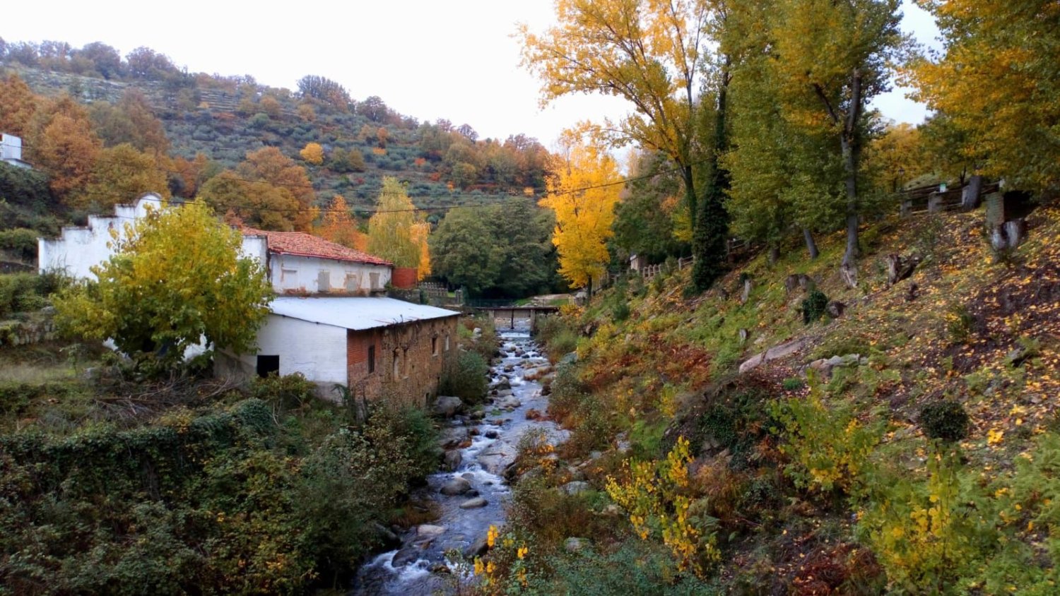 Grundstück in Caceres, Spain 1200m², Nr. 179745