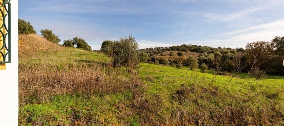 8 bedrooms House in Torres Novas, Portugal No. 49926 37