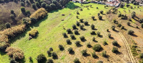 8 bedrooms House in Torres Novas, Portugal No. 49926 41