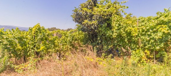 3 bedrooms House in Baiao, Portugal No. 184838 17