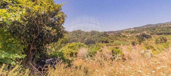 3 bedrooms House in Baiao, Portugal No. 184838 19