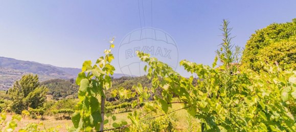 3 bedrooms House in Baiao, Portugal No. 184838 10