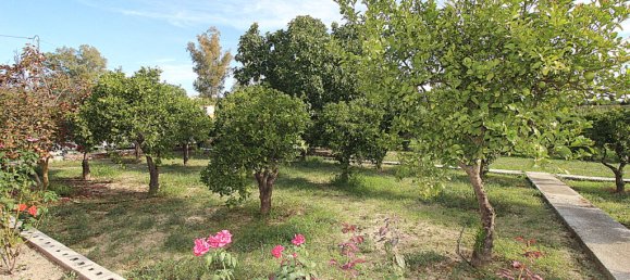 Дом с 3 спальнями в Алаурин-эль-Гранде, Испания № 70499 10