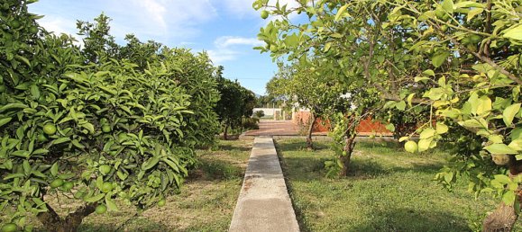 Дом с 3 спальнями в Алаурин-эль-Гранде, Испания № 70499 11