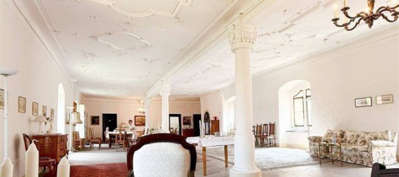 35غرفة فيلا في Bavaria, Germany رقم 226102 40