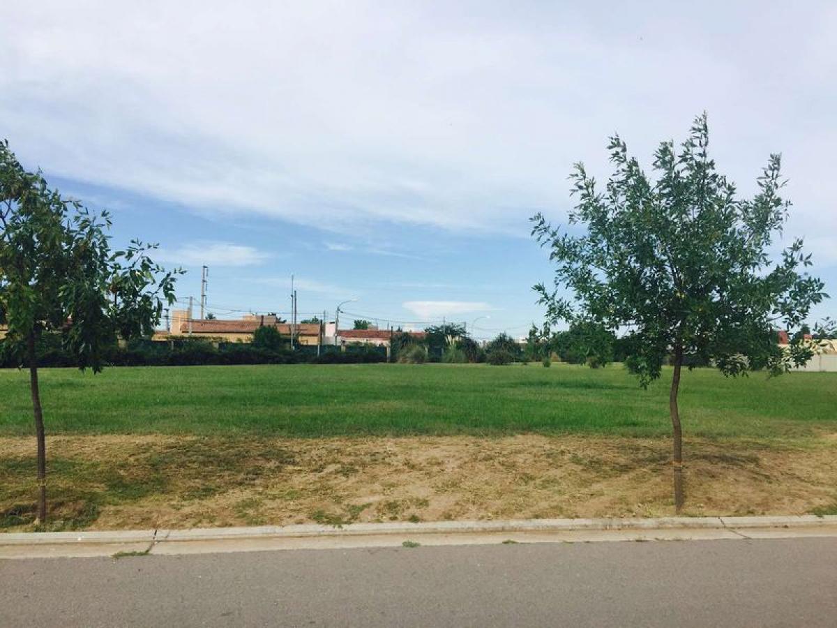  Land in Cordoba, Argentina No. 50556