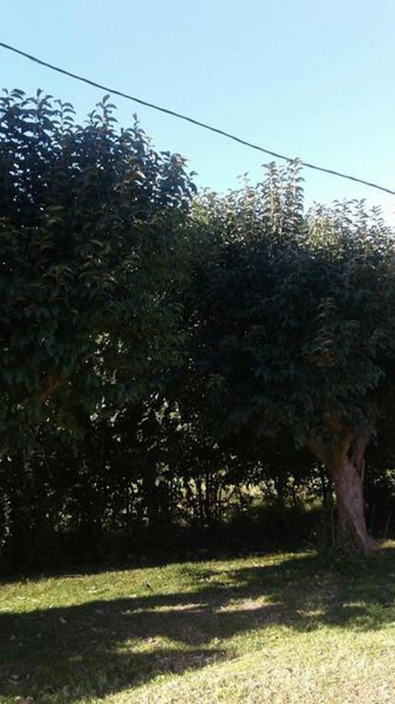  Land in Ezeiza, Argentina No. 40039