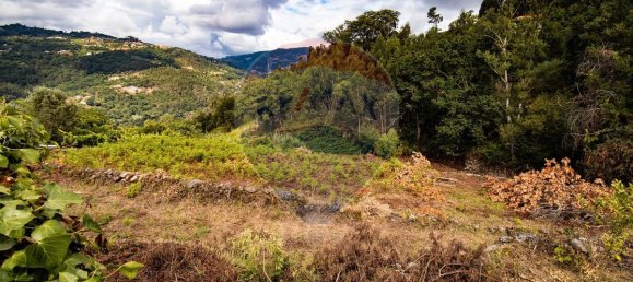 6 bedrooms House in Marco de Canaveses, Portugal No. 28992 20