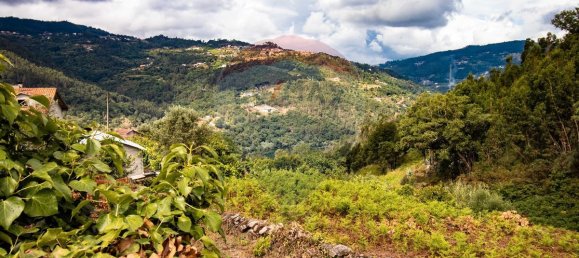 6 bedrooms House in Marco de Canaveses, Portugal No. 28992 21