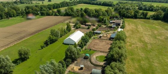 Granja de 6 dormitorios en Ostprignitz-Ruppin, Germany No. 232249 43