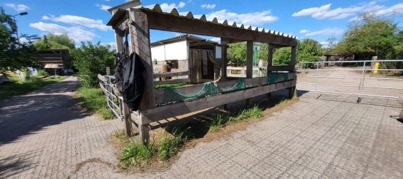 Granja de 6 dormitorios en Ostprignitz-Ruppin, Germany No. 232249 15