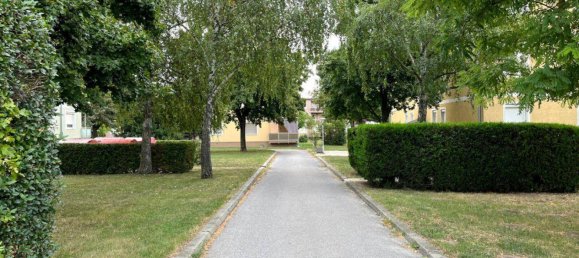 Apartamento de 3 habitaciónes en Auersthal, Austria No. 51515 12