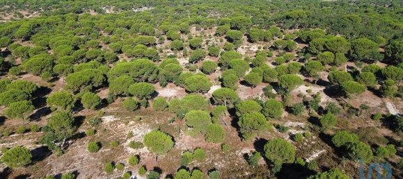Terreno em Ponte de Sor, Portugal 769999 m² N.º 130311 25