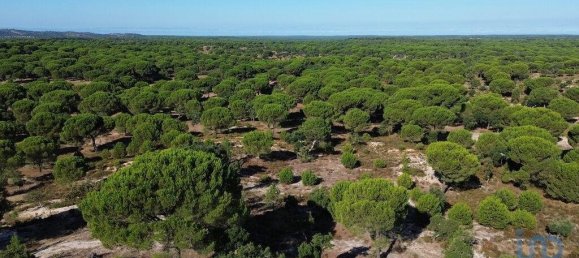 Terreno em Ponte de Sor, Portugal 769999 m² N.º 130311 21