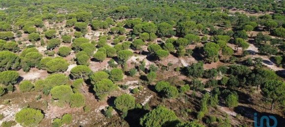 Terreno em Ponte de Sor, Portugal 769999 m² N.º 130311 27