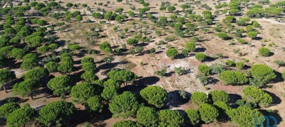 Terreno em Ponte de Sor, Portugal 769999 m² N.º 130311 15