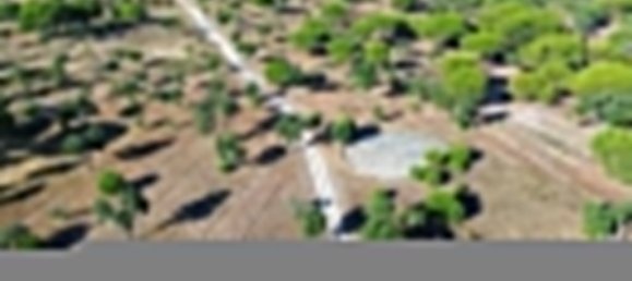 Terreno em Ponte de Sor, Portugal 769999 m² N.º 130311 4