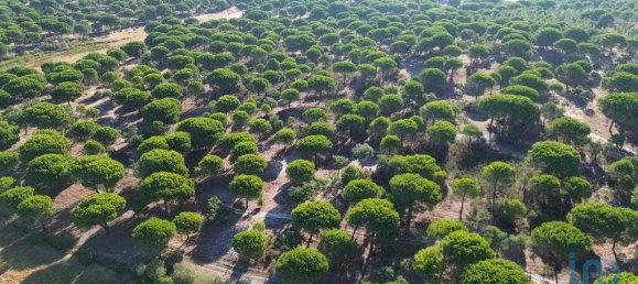 Terreno em Ponte de Sor, Portugal 769999 m² N.º 130311 19