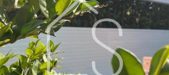 Коммерческая недвижимость с 1 комнатой в Дзола Предоза, Италия № 301342 5