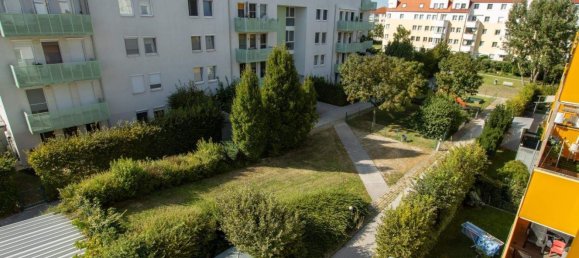 3 rooms Apartment in Traiskirchen, Austria No. 256862 15