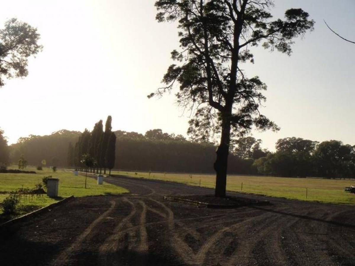  Land in General Juan Madariaga, Argentina No. 114349